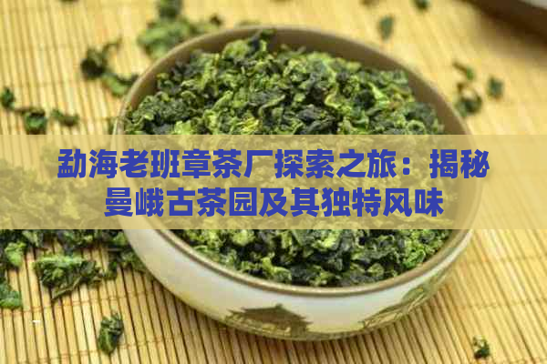 勐海老班章茶厂探索之旅：揭秘曼峨古茶园及其独特风味