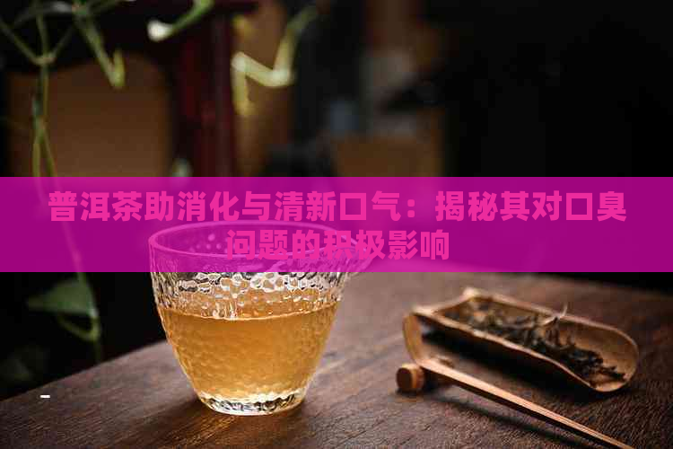 普洱茶助消化与清新口气：揭秘其对口臭问题的积极影响