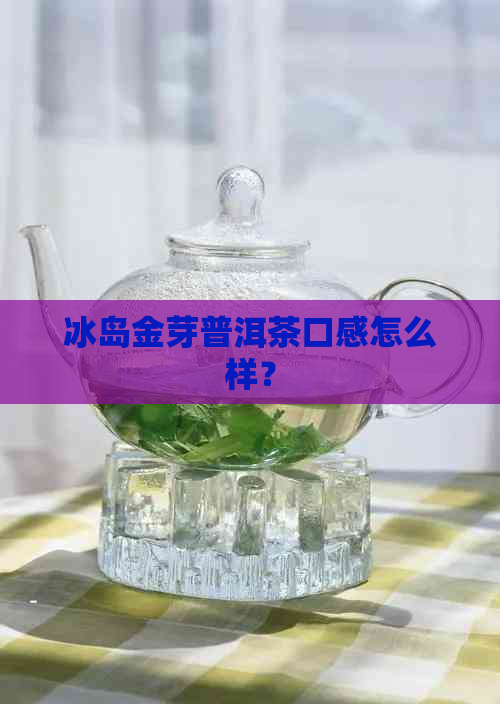 冰岛金芽普洱茶口感怎么样？