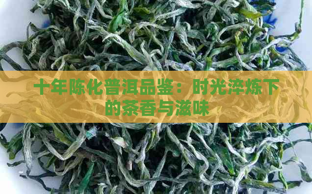 十年陈化普洱品鉴：时光淬炼下的茶香与滋味