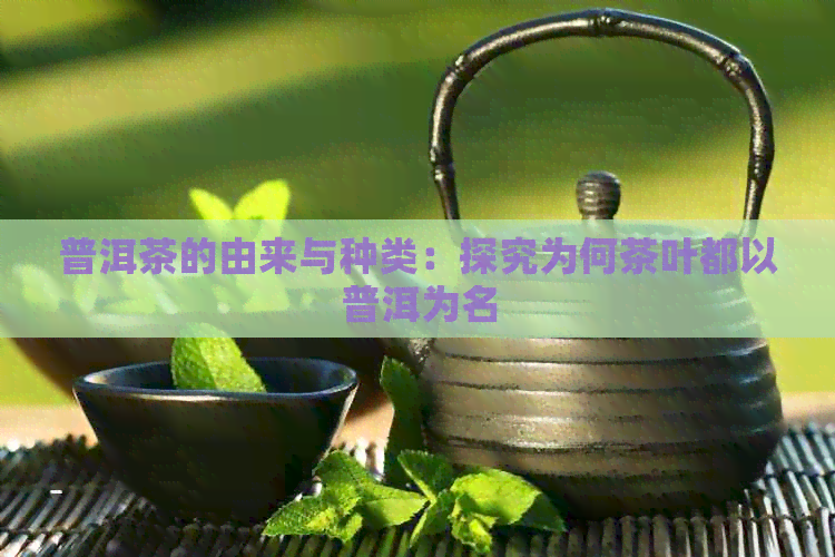 普洱茶的由来与种类：探究为何茶叶都以普洱为名