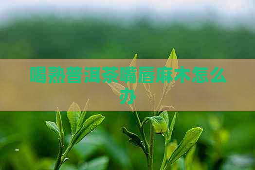 喝熟普洱茶嘴唇麻木怎么办