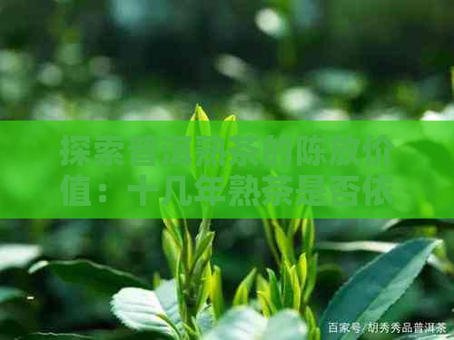 探索普洱熟茶的陈放价值：十几年熟茶是否依然适宜品鉴？