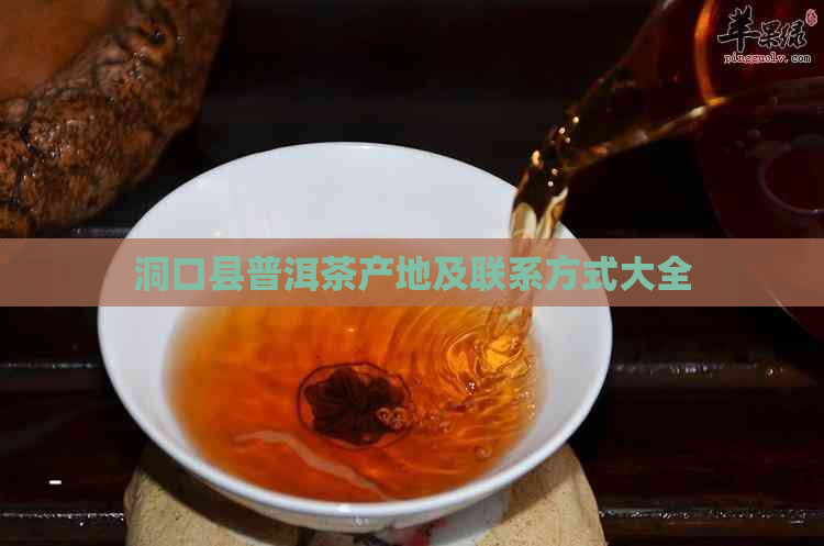 洞口县普洱茶产地及联系方式大全