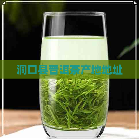 洞口县普洱茶产地地址