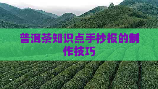 普洱茶知识点手抄报的制作技巧