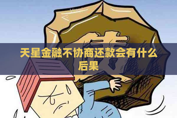 天星金融不协商还款会有什么后果