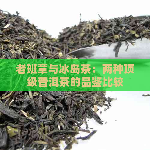 老班章与冰岛茶：两种顶级普洱茶的品鉴比较