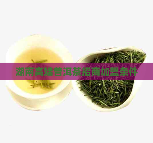 湖南高端普洱茶招商加盟条件