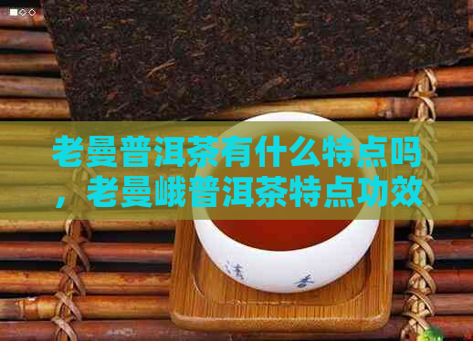 老曼普洱茶有什么特点吗，老曼峨普洱茶特点功效