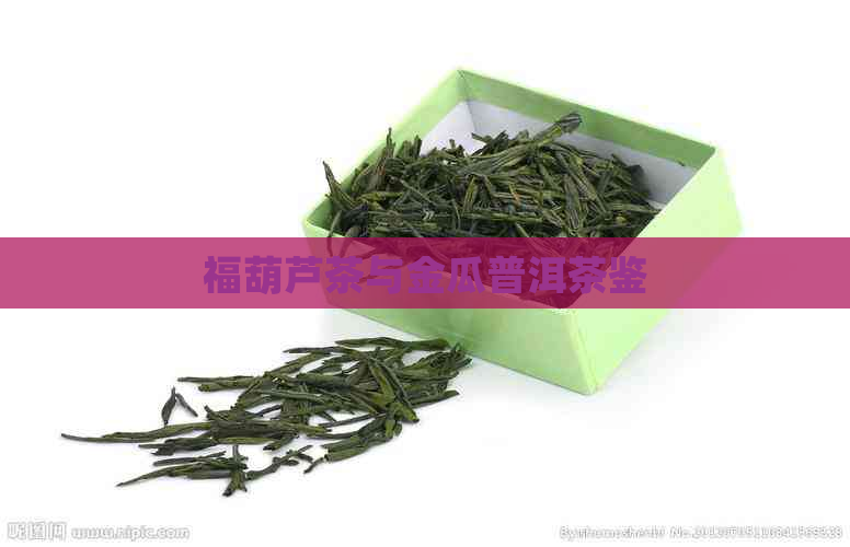 福葫芦茶与金瓜普洱茶鉴