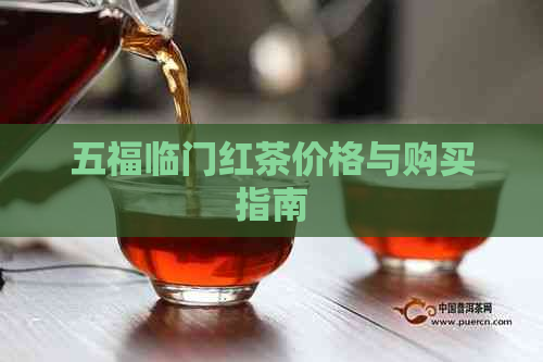 五福临门红茶价格与购买指南