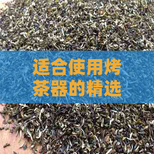 适合使用烤茶器的精选茶叶：探索搭配