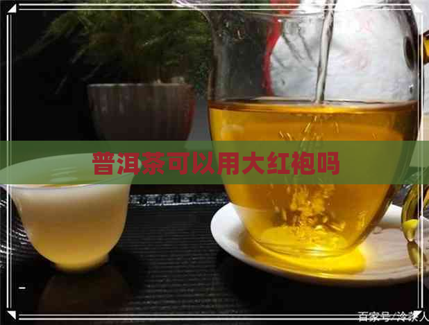 普洱茶可以用大红袍吗