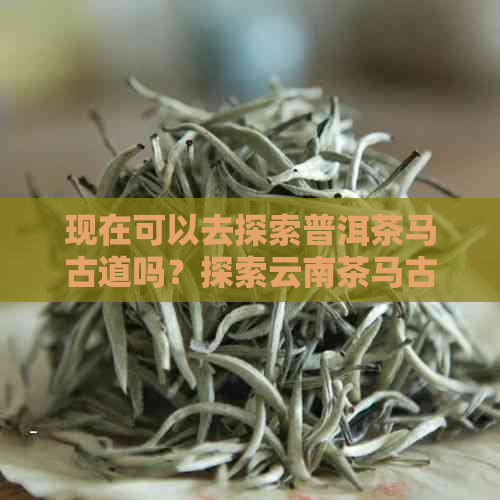 现在可以去探索普洱茶马古道吗？探索云南茶马古道的全面指南