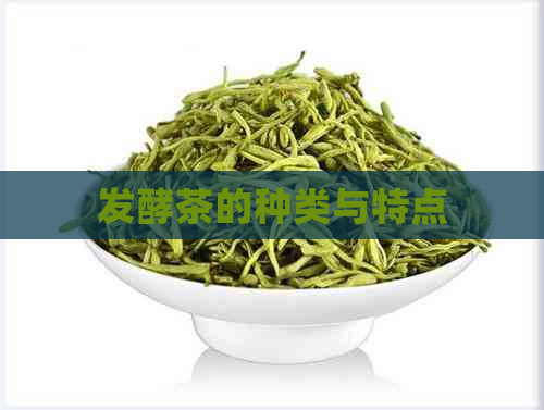 发酵茶的种类与特点