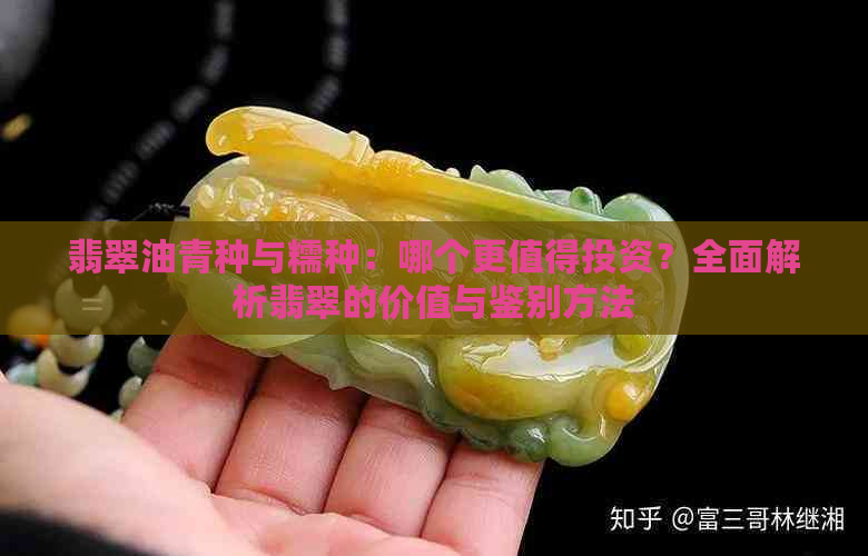 翡翠油青种与糯种：哪个更值得投资？全面解析翡翠的价值与鉴别方法