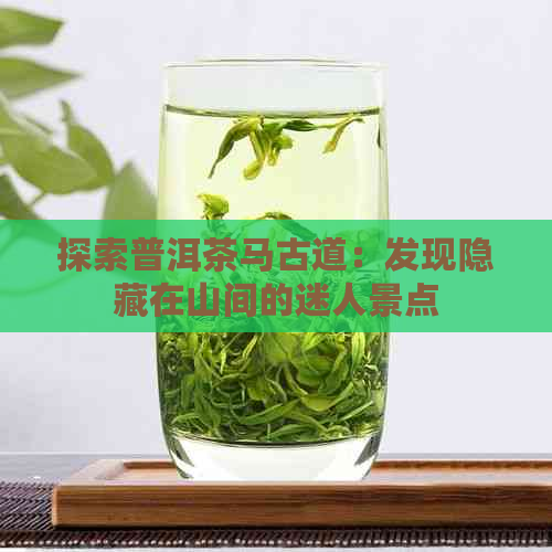 探索普洱茶马古道：发现隐藏在山间的迷人景点