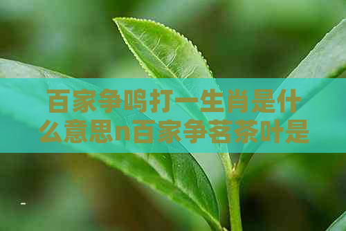 百家争鸣打一生肖是什么意思n百家争茗茶叶是什么茶