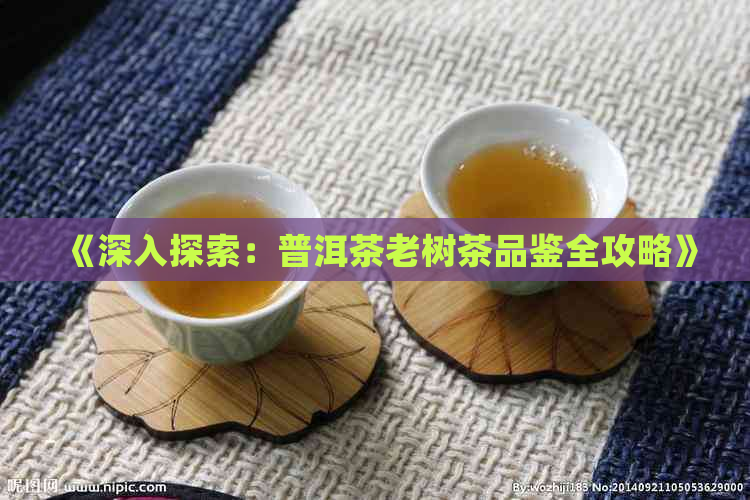 《深入探索：普洱茶老树茶品鉴全攻略》