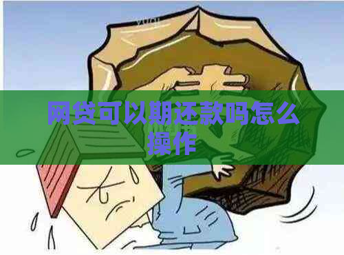 网贷可以期还款吗怎么操作