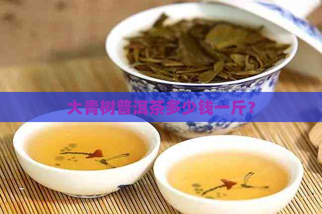 大青树普洱茶多少钱一斤？