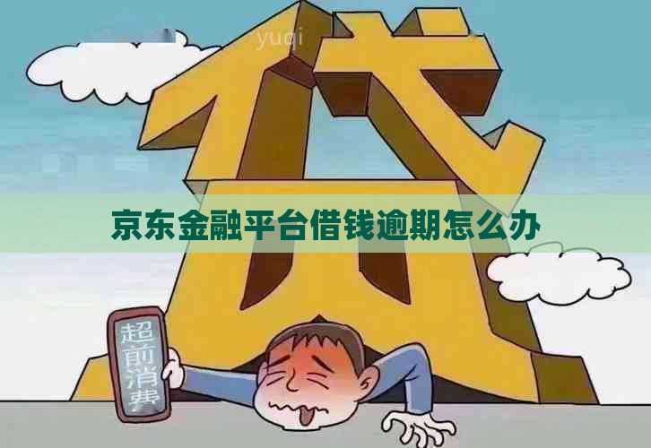 京东金融平台借钱逾期怎么办