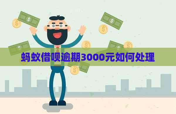 蚂蚁借呗逾期3000元如何处理