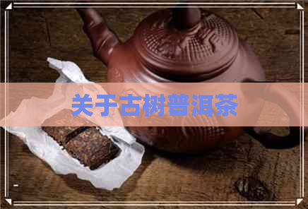 关于古树普洱茶