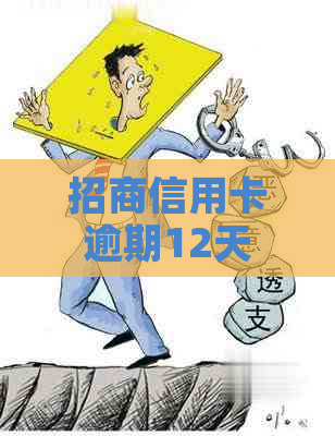 招商信用卡逾期12天