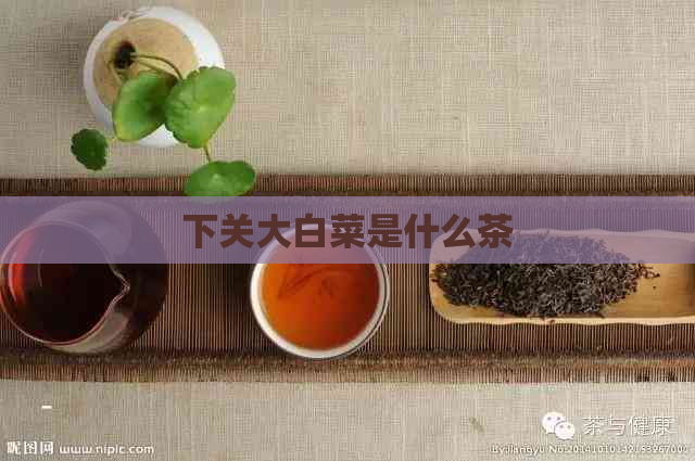 下关大白菜是什么茶