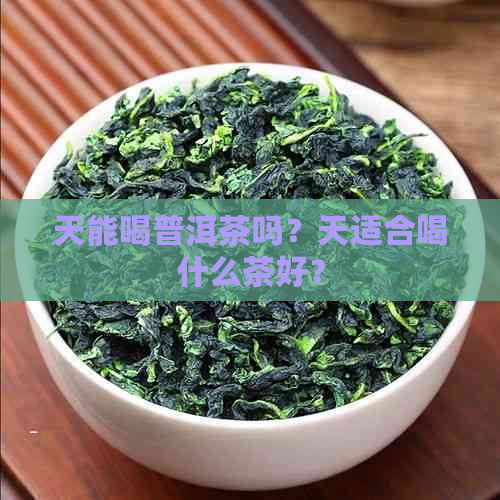 天能喝普洱茶吗？天适合喝什么茶好？