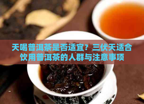 天喝普洱茶是否适宜？三伏天适合饮用普洱茶的人群与注意事项