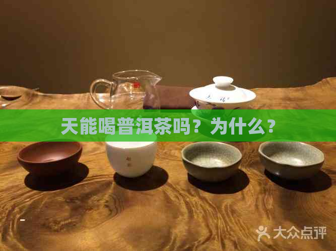 天能喝普洱茶吗？为什么？