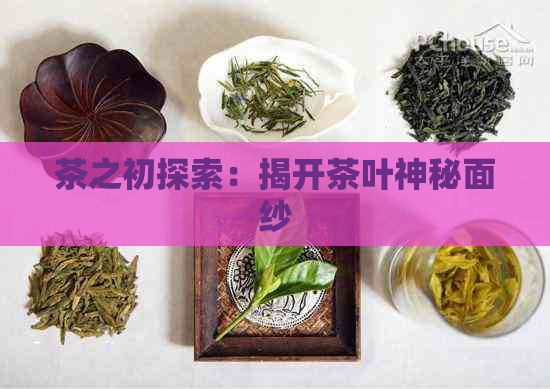 茶之初探索：揭开茶叶神秘面纱