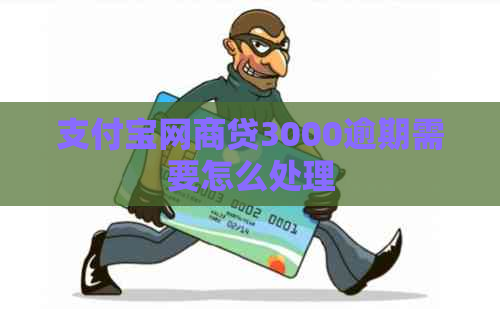 支付宝网商贷3000逾期需要怎么处理