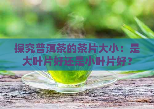 探究普洱茶的茶片大小：是大叶片好还是小叶片好？