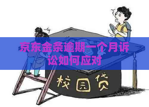 京东金条逾期一个月诉讼如何应对