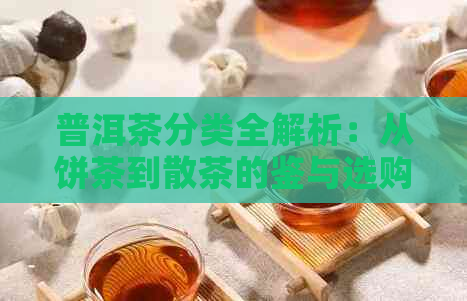 普洱茶分类全解析：从饼茶到散茶的鉴与选购指南