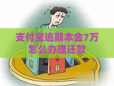 支付宝逾期本金7万怎么办理还款