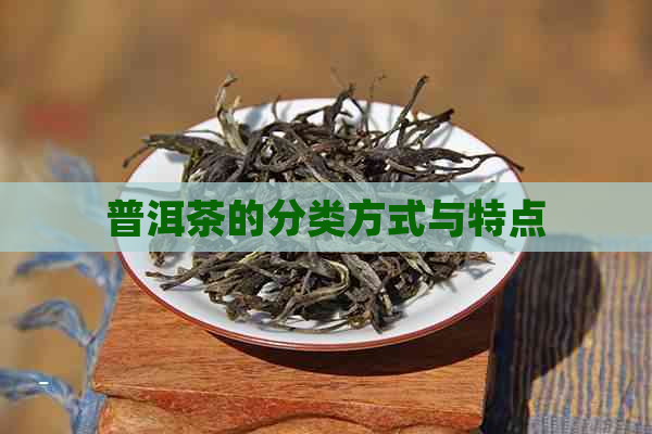 普洱茶的分类方式与特点