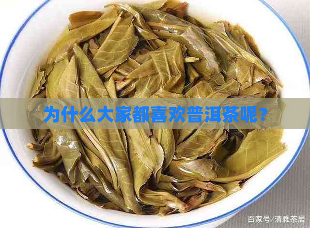 为什么大家都喜欢普洱茶呢？