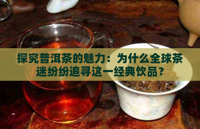 探究普洱茶的魅力：为什么全球茶迷纷纷追寻这一经典饮品？