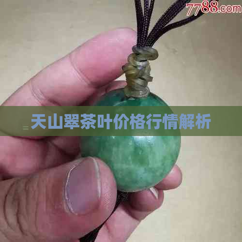 天山翠茶叶价格行情解析