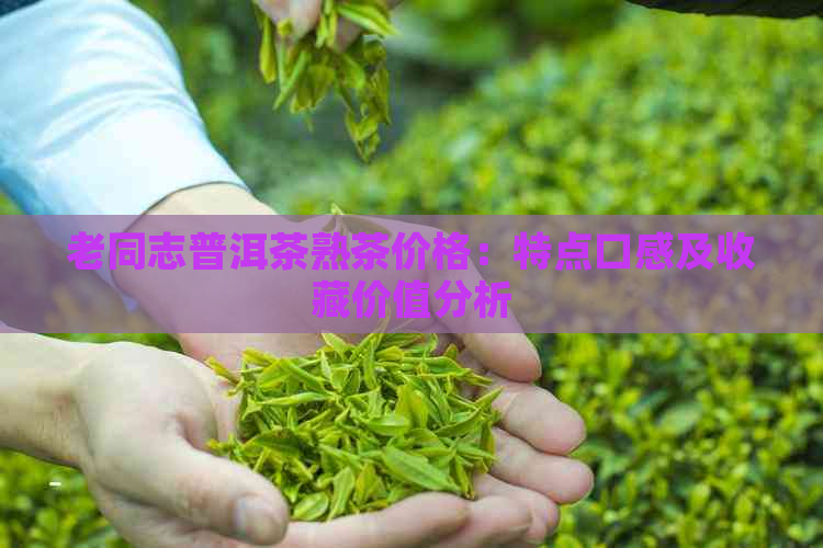 老同志普洱茶熟茶价格：特点口感及收藏价值分析