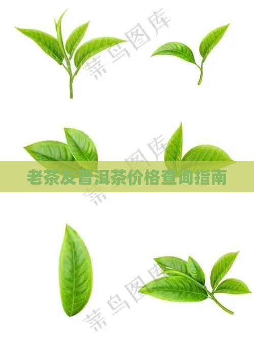 老茶友普洱茶价格查询指南