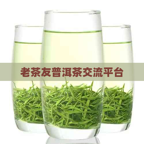 老茶友普洱茶交流平台