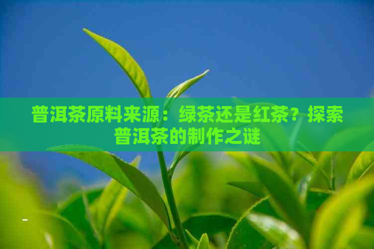 普洱茶原料来源：绿茶还是红茶？探索普洱茶的制作之谜