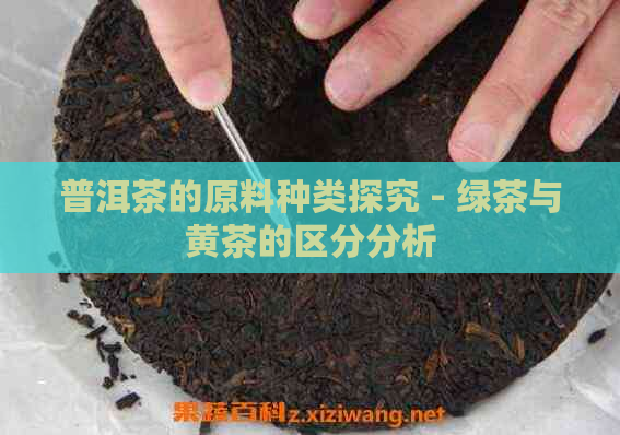 普洱茶的原料种类探究 - 绿茶与黄茶的区分分析