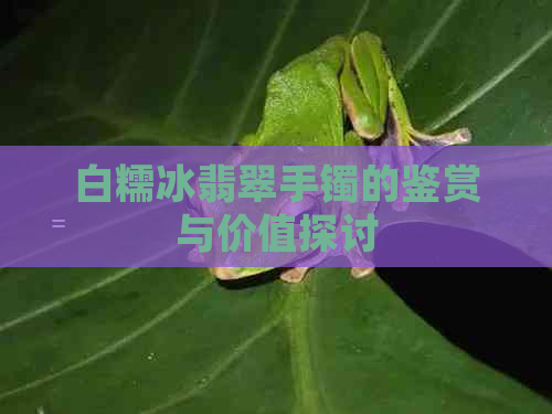 白糯冰翡翠手镯的鉴赏与价值探讨